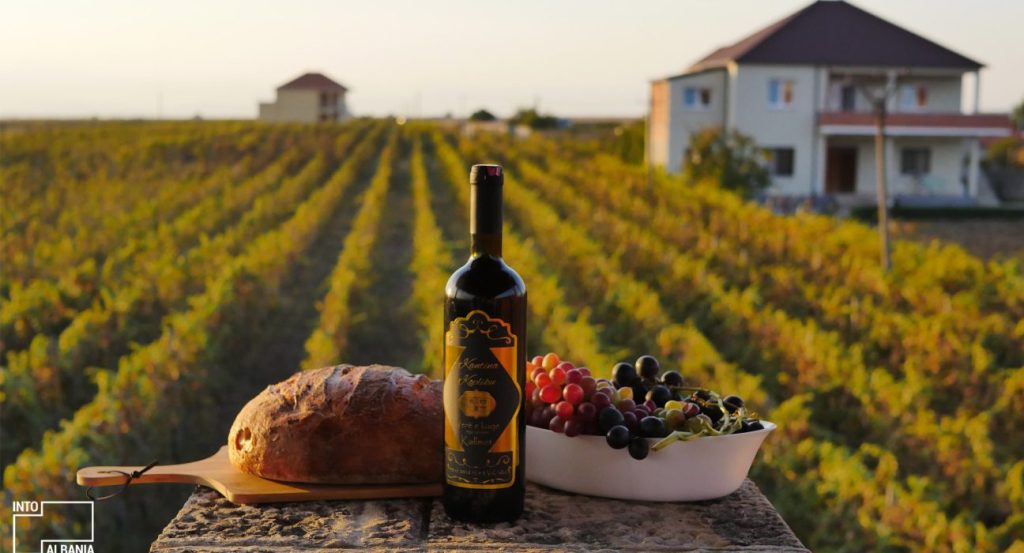 Investimet në agroturizëm dhe sera, Qeveria do të subvencionojë 50 për qind të investimit